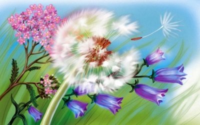 Художник-иллюстратор Таня Сытая