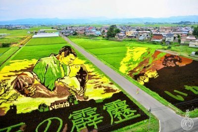 Тамбо — картины на рисовых полях в Японии