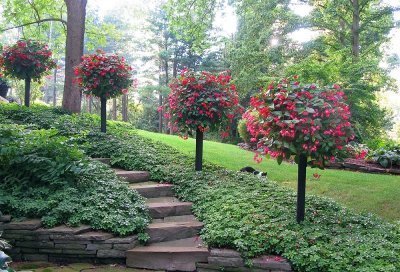 Контейнерные сады Памелы Кроуфорд (фото и мастер класс)