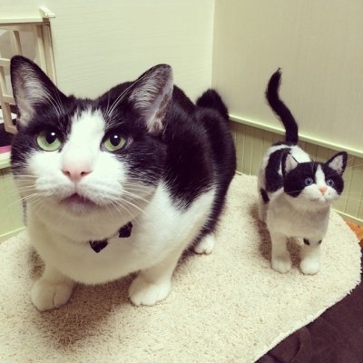 Войлочные кошки от Sukepon