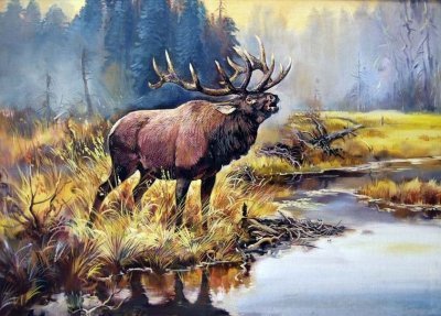 Художник-анималист Виктор Бастрыкин