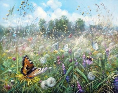 Желонкин Александр. Очарование природы