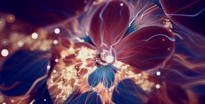 Сильвия Кордедда (Silvia Cordedda). Фрактальная графика