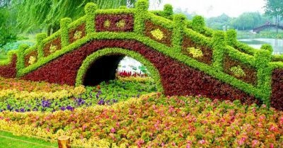 Очень красивые и оригинальные цветники