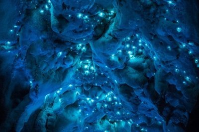 Вайтомо - пещеры светлячков, Новая Зеландия